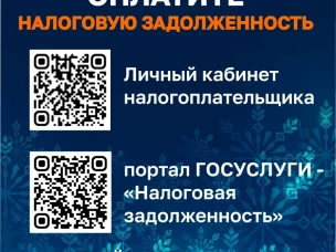 В Новый год без долгов